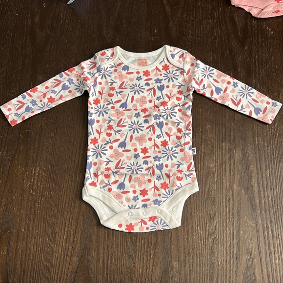Wink & Blink Organic Girls Long Sleeve Bodysuits 4 pack - Picture 6 of 12